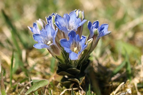 0428-5.jpg