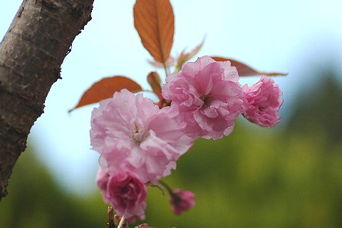 0501-2.jpg