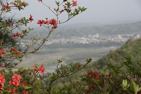 0503-4.jpg