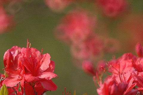 0503-5.jpg