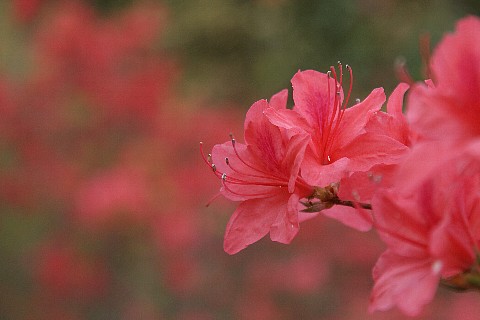 0503-6.jpg
