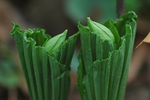 0506-5.jpg