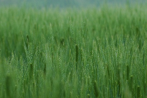 0507-2.jpg
