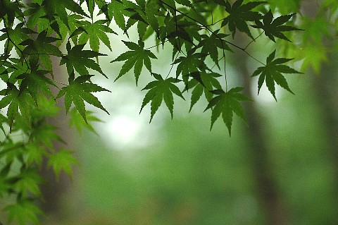 0507-6.jpg