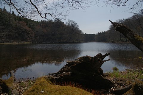 0508-4.jpg