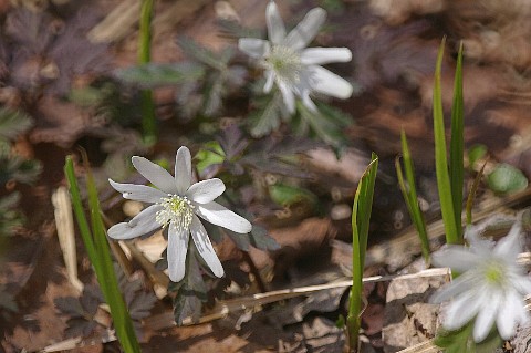 0509-3.jpg