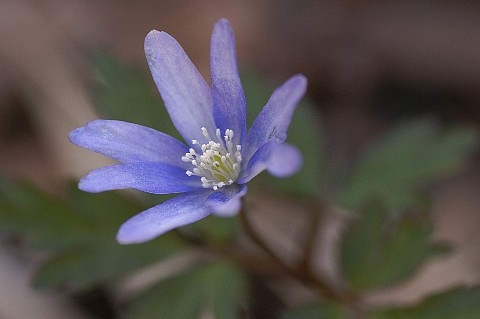 0509-2.jpg