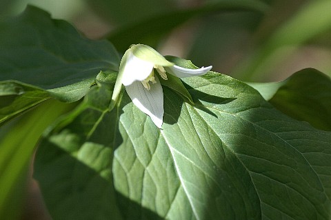 0509-6.jpg