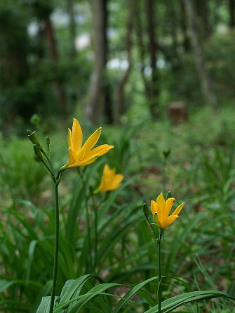 0512-2.jpg