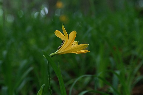 0512-3.jpg