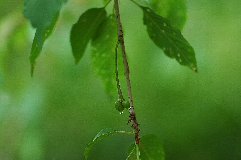 0514-3.jpg