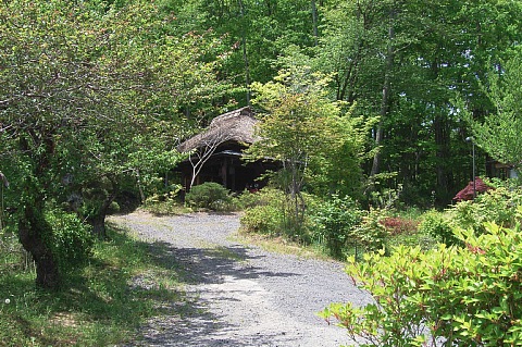 0515-3.jpg