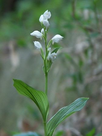 0520-7.jpg