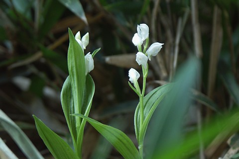 0520-6.jpg