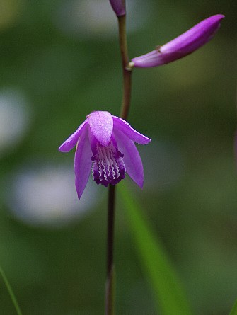 0527-4.jpg