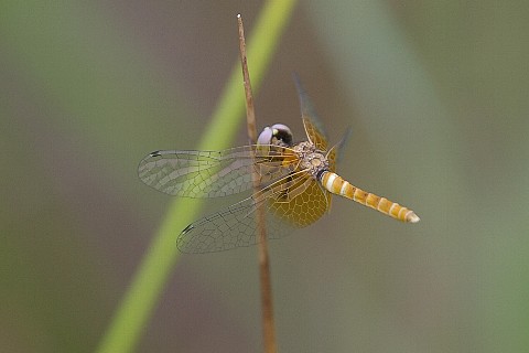 0625-3.jpg