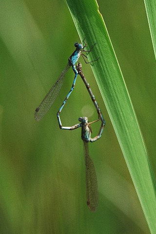 0625-8.jpg