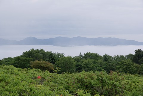 0626-1.jpg