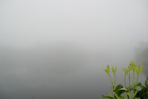 0626-2.jpg