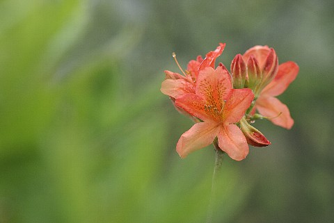 0626-4.jpg