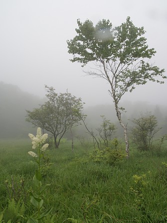 0626-3.jpg