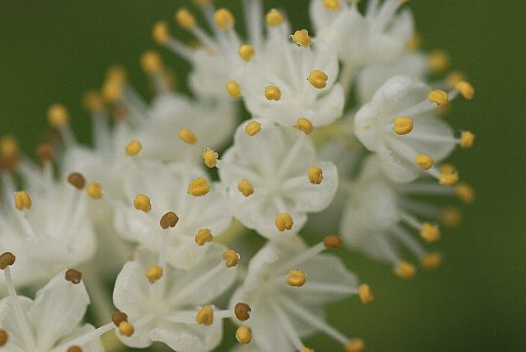 0626-5.jpg