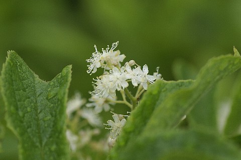 0628-5.jpg