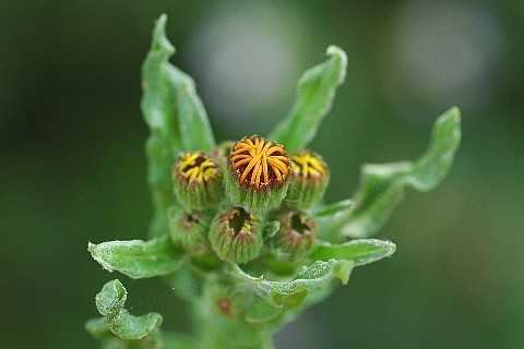 0704-4.jpg
