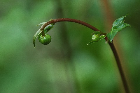 0704-5.jpg