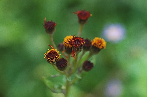 0706-4.jpg