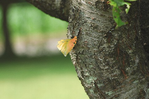 0709-3.jpg