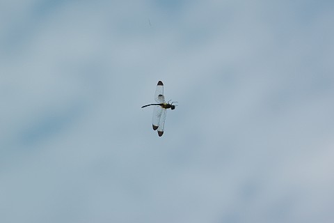 0709-2.jpg