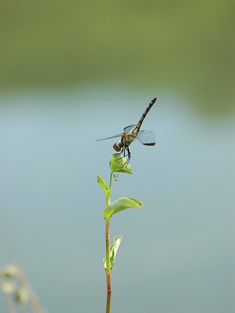 0709-4.jpg