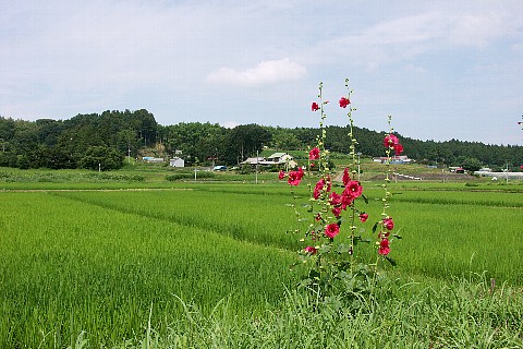 0709-5.jpg