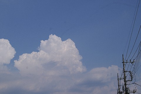 0710-1.jpg