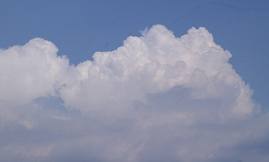 0710-2.jpg