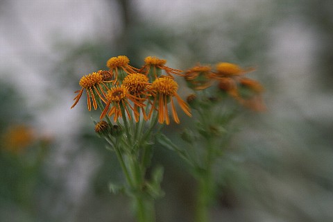0713-2.jpg