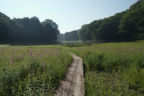 0717-3.jpg