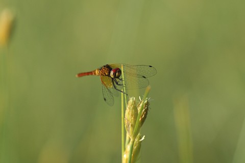 0725-5.jpg