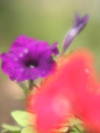 0728-3.jpg