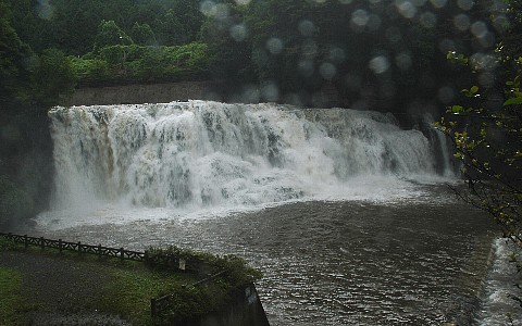 0801-1.jpg