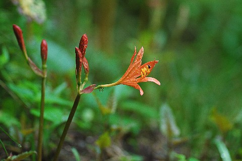 0801-2.jpg