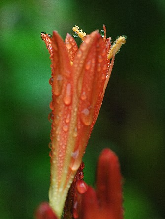 0801-4.jpg