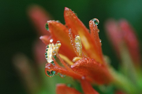 0801-3.jpg