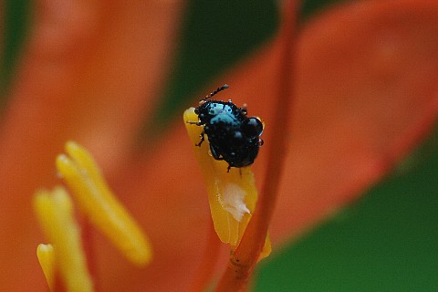 0801-5.jpg