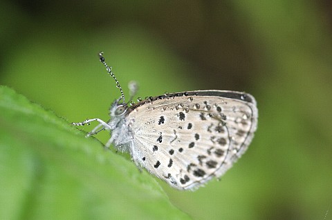 0801-6.jpg