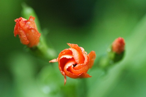 0806-3.jpg