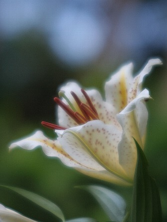 0806-6.jpg