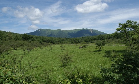 0808-2.jpg