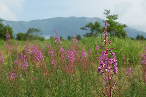 0808-8.jpg